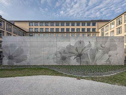 Dresden Center for Nanoanalytics